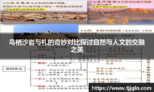 鸟栖沙岩与札的奇妙对比探讨自然与人文的交融之美